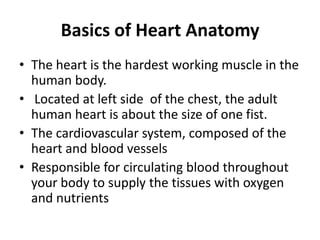 Basics of Heart Anatomy
• The heart is the hardest working muscle in the
  human body.
• Located at left side of the chest, the adult
  human heart is about the size of one fist.
• The cardiovascular system, composed of the
  heart and blood vessels
• Responsible for circulating blood throughout
  your body to supply the tissues with oxygen
  and nutrients
 