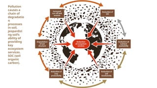 Pollution
causes a
chain of
degradatio
n
processes
in soil,
jeopardizi
ng soil’s
ability of
providing
key
ecosystem
services.
SOC (soil
organic
carbon).
 