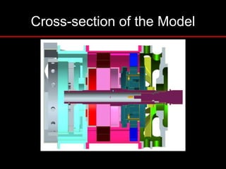 Cross-section of the Model
 