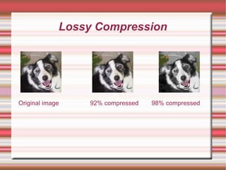Lossy Compression
Original image 92% compressed 98% compressed
 