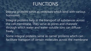 FUNCTIONS
• Integral proteins serve as receptors which bind with various
hormones.
• Integral proteins help in the transport of substances across
the cell membrane. They serve as pores and channels
through which water and water-soluble ions can diffuse
freely.
• Some integral proteins serve as carrier proteins which can
facilitate transport of certain molecules across the membrane
 