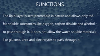 FUNCTIONS
The lipid layer is semipermeable in nature and allows only the
fat-soluble substances like oxygen, carbon dioxide and alcohol
to pass through it. It does not allow the water-soluble materials
like glucose, urea and electrolytes to pass through it.
 