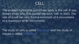 CELL
The smallest functional unit of our body is the cell. It was
Robert Hook who first coined the term ‘cell’ in 1665. The
size of a cell can vary from a minimum of 6 micrometre
to a maximum of 80 micrometre.
The study of cells is called ‘Cytology’ and the study of
tissues is called ‘Histology’
 