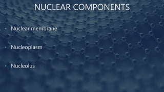 NUCLEAR COMPONENTS
• Nuclear membrane
• Nucleoplasm
• Nucleolus
 