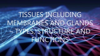 TISSUES INCLUDING
MEMBRANES AND GLANDS
– TYPES, STRUCTURE AND
FUNCTIONS
 