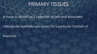 PRIMARY TISSUES
A tissue is defined as a collection of cells and associated
intercellular materials specialized for a particular function of
functions.
 