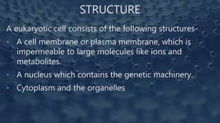 STRUCTURE
A eukaryotic cell consists of the following structures-
• A cell membrane or plasma membrane, which is
impermeable to large molecules like ions and
metabolites.
• A nucleus which contains the genetic machinery.
• Cytoplasm and the organelles
 