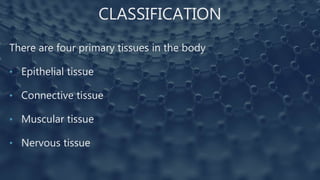 CLASSIFICATION
There are four primary tissues in the body
• Epithelial tissue
• Connective tissue
• Muscular tissue
• Nervous tissue
 