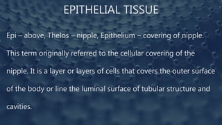 EPITHELIAL TISSUE
Epi – above, Thelos – nipple, Epithelium – covering of nipple.
This term originally referred to the cellular covering of the
nipple. It is a layer or layers of cells that covers the outer surface
of the body or line the luminal surface of tubular structure and
cavities.
 