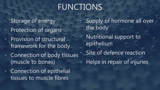 FUNCTIONS
• Storage of energy
• Protection of organs
• Provision of structural
framework for the body
• Connection of body tissues
(muscle to bones)
• Connection of epithelial
tissues to muscle fibres
• Supply of hormone all over
the body
• Nutritional support to
epithelium
• Site of defence reaction
• Helps in repair of injuries
 