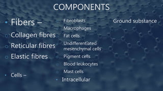 COMPONENTS
• Fibers –
o Collagen fibres
o Reticular fibres
o Elastic fibres
• Cells –
o Fibroblasts
o Macrophages
o Fat cells
o Undifferentiated
mesenchymal cells
o Pigment cells
o Blood leukocytes
o Mast cells
• Intracellular
Ground substance
 