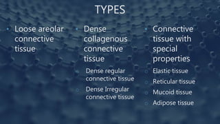 TYPES
• Loose areolar
connective
tissue
• Dense
collagenous
connective
tissue
o Dense regular
connective tissue
o Dense Irregular
connective tissue
• Connective
tissue with
special
properties
o Elastic tissue
o Reticular tissue
o Mucoid tissue
o Adipose tissue
 