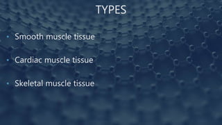 TYPES
• Smooth muscle tissue
• Cardiac muscle tissue
• Skeletal muscle tissue
 