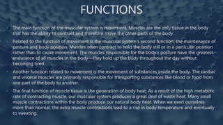FUNCTIONS
• The main function of the muscular system is movement. Muscles are the only tissue in the body
that has the ability to contract and therefore move the other parts of the body.
• Related to the function of movement is the muscular system’s second function: the maintenance of
posture and body position. Muscles often contract to hold the body still or in a particular position
rather than to cause movement. The muscles responsible for the body’s posture have the greatest
endurance of all muscles in the body—they hold up the body throughout the day without
becoming tired.
• Another function related to movement is the movement of substances inside the body. The cardiac
and visceral muscles are primarily responsible for transporting substances like blood or food from
one part of the body to another.
• The final function of muscle tissue is the generation of body heat. As a result of the high metabolic
rate of contracting muscle, our muscular system produces a great deal of waste heat. Many small
muscle contractions within the body produce our natural body heat. When we exert ourselves
more than normal, the extra muscle contractions lead to a rise in body temperature and eventually
to sweating.
 