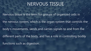 NERVOUS TISSUE
Nervous tissue is the term for groups of organized cells in
the nervous system, which is the organ system that controls the
body's movements, sends and carries signals to and from the
different parts of the body, and has a role in controlling bodily
functions such as digestion.
 