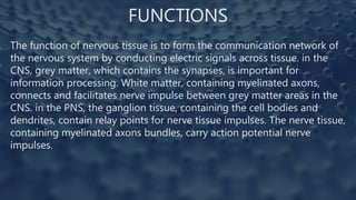 FUNCTIONS
The function of nervous tissue is to form the communication network of
the nervous system by conducting electric signals across tissue. in the
CNS, grey matter, which contains the synapses, is important for
information processing. White matter, containing myelinated axons,
connects and facilitates nerve impulse between grey matter areas in the
CNS. in the PNS, the ganglion tissue, containing the cell bodies and
dendrites, contain relay points for nerve tissue impulses. The nerve tissue,
containing myelinated axons bundles, carry action potential nerve
impulses.
 