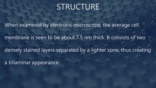 STRUCTURE
When examined by electronic microscope, the average cell
membrane is seen to be about 7.5 nm thick. It consists of two
densely stained layers separated by a lighter zone, thus creating
a trilaminar appearance.
 