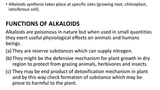 Plant secondary Metabolite