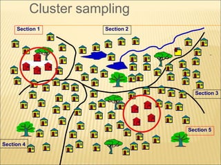 Cluster sampling
Section 4
Section 5
Section 3
Section 2
Section 1
 