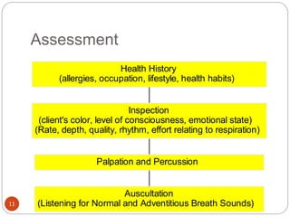 Assessment
Auscultation
(Listening for Normal and Adventitious Breath Sounds)
Palpation and Percussion
Inspection
(client's color, level of consciousness, emotional state)
(Rate, depth, quality, rhythm, effort relating to respiration)
Health History
(allergies, occupation, lifestyle, health habits)
11
 
