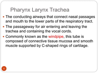 Pharynx Larynx Trachea
 The conducting airways that connect nasal passages
and mouth to the lower parts of the respiratory tract.
 The passageway for air entering and leaving the
trachea and containing the vocal cords.
 Commonly known as the windpipe, this tube is
composed of connective tissue mucosa and smooth
muscle supported by C-shaped rings of cartilage.
6
 