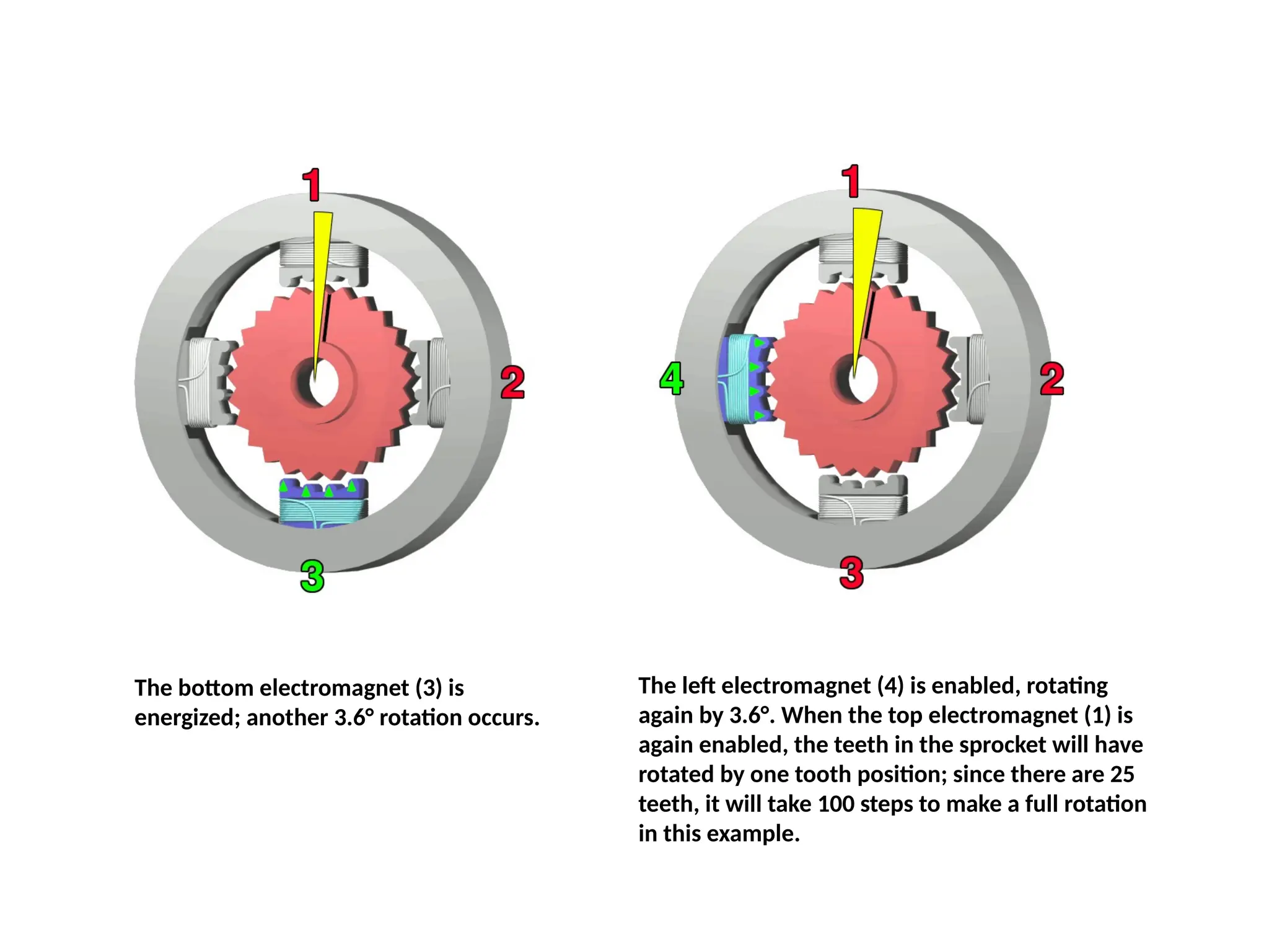 The bottom electromagnet (3) is
energized; another 3.6° rotation occurs.
The left electromagnet (4) is enabled, rotating
again by 3.6°. When the top electromagnet (1) is
again enabled, the teeth in the sprocket will have
rotated by one tooth position; since there are 25
teeth, it will take 100 steps to make a full rotation
in this example.
 