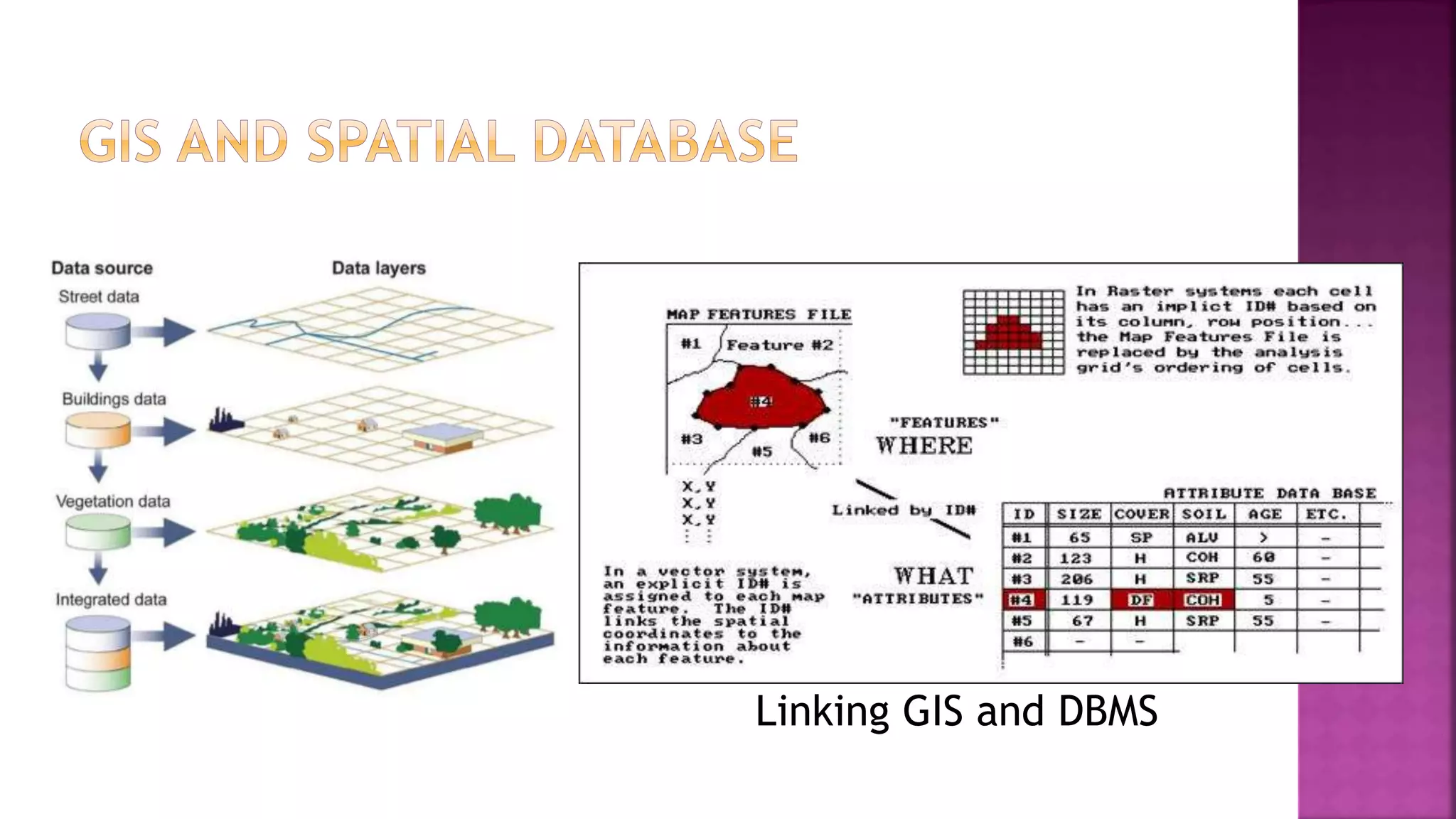 Linking GIS and DBMS
 