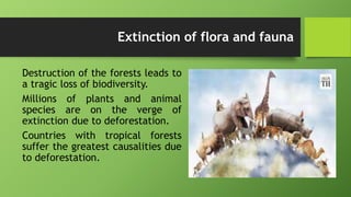 Extinction of flora and fauna
Destruction of the forests leads to
a tragic loss of biodiversity.
Millions of plants and animal
species are on the verge of
extinction due to deforestation.
Countries with tropical forests
suffer the greatest causalities due
to deforestation.
 