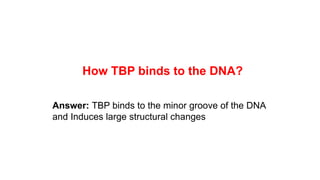 How TBP binds to the DNA?
Answer: TBP binds to the minor groove of the DNA
and Induces large structural changes
 