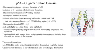 p53 – Oligomerization Domain
Oligomerization domain – tetramer formation of p53
Mutations in C – terminal affects tetramer formation.
The monomer still retains DNA binding function
No complete structure available
available structures- Sloane Kettering institute for cancer- NewYork
21 base pairs sequence bound to p53 DNA binding region (102 – 292)
Oligomerizing domain (325 – 356)
Each unit of p53 has a beta strand –turn- alpha helix
Two units bind together by antiparallel beta sheet- followed by antiparallel helix
formation
This dimer binds with another dimer by hydrophobic interactions of the helix. Beta
sheets do not interact in the tetramer
Tumorogenic mutations
Leu 330 to His- water loving His does not allow dimerization core to be formed
Glycine in turn if mutated to any other residue - also abolishes p53 dimerization
 