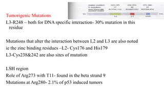 Tumorigenic Mutations
L3-R248 – both for DNA specific interaction- 30% mutation in this
residue
Mutations that alter the interaction between L2 and L3 are also noted
ie the zinc binding residues –L2- Cys176 and His179
L3-Cys238&242 are also sites of mutation
LSH region
Role of Arg273 with T11- found in the beta strand 9
Mutations at Arg280- 2.1% of p53 induced tumors
 
