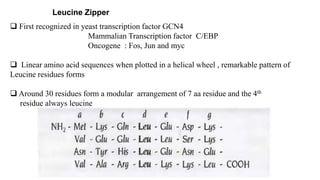 Leucine Zipper
 First recognized in yeast transcription factor GCN4
Mammalian Transcription factor C/EBP
Oncogene : Fos, Jun and myc
 Linear amino acid sequences when plotted in a helical wheel , remarkable pattern of
Leucine residues forms
 Around 30 residues form a modular arrangement of 7 aa residue and the 4th
residue always leucine
 