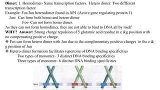 Dimer: 1. Homodimer- Same transcription factors. Hetero dimer: Two diffferent
transcription factor.
Example: Fos/Jun heterodimer found in AP1 (Active gene regulating protein 1)
Jun- Can form both homo and hetero dimer
Fos- Can not form homo dimer.
As they can not form homodimer, they are not able to bind to DNA all by itself
WHY? Answer: Strong charge repulsion of 5 glutamic acid residue in e &g position with
no compensating positive charge.
 Fos can form hetero dimer with Jun due to the complementary positive charges in the e &
g position of Jun
 Hetero dimer formation facilitates repertoire of DNA binding specificities
Two types of monomer– 3 distinct DNA binding specificities
Three types of monomer- 6 distinct DNA binding specificities
 
