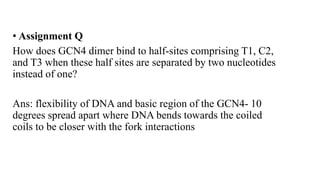 • Assignment Q
How does GCN4 dimer bind to half-sites comprising T1, C2,
and T3 when these half sites are separated by two nucleotides
instead of one?
Ans: flexibility of DNA and basic region of the GCN4- 10
degrees spread apart where DNA bends towards the coiled
coils to be closer with the fork interactions
 