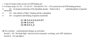  5 out of 6 loops in Ras involve in GTP binding site
 3 of these loops, G1 (10 – 17), G3 (57 – 60) and G4 ( 116 – 119) conserved in all GTP binding proteins
 G1 – for proper positioning of the phosphate groups – binds to the α and β phosphates of guanine
nucleotide
 G3 – link subsites of Mg2+ binding and the γ phosphate
 G4 – recognition and binding of guanine nucleotide
 Two switches – conformational changes on activation
Switch I – G2 Thr binds Mg2+ and involved in structural switching and GTP hydrolysis
Switch II – G3 and alpha 2
G1  G-X-X-X-X-G-K-S/T
G3  D-X-X-E
G4  N-K-X_D
 