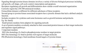 Signaling through tyrosine kinase domains involves a variety of diverse biological processes including
cell growth, cell shape, cell cycle control, transcription and apoptosis.
Receptors regulating cell growth and differentiation show similar overall structural organization.
Cytosolic region has 250-300 aminoacid residues.
Extracellular domain is different for different subclasses of these receptors.
Second group is tyrosine kinase associated receptors have cytosolic domain that lack a defined catalytic
function.
Includes receptors for cytokines and some hormones such as growth hormone and prolactin.
Eg: Src family
Small protein modules form adaptors for signaling network
A set of protein modules covalently attached to their associated protein kinases or their target molecules
and regulates signal pathways.
3 important modules
SH2 (Src-homology-2)- bind to phosphotyrosine residues in target proteins
SH3 (Src-homology-3)- bind to proline rich regions of target molecule
PH (Pleckstrin-homology)- bind membrane bound targets of tyrosine kinase
 