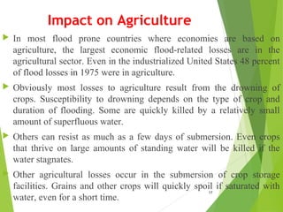 Impact on Agriculture
 In most flood prone countries where economies are based on
agriculture, the largest economic flood-related losses are in the
agricultural sector. Even in the industrialized United States 48 percent
of flood losses in 1975 were in agriculture.
 Obviously most losses to agriculture result from the drowning of
crops. Susceptibility to drowning depends on the type of crop and
duration of flooding. Some are quickly killed by a relatively small
amount of superfluous water.
 Others can resist as much as a few days of submersion. Even crops
that thrive on large amounts of standing water will be killed if the
water stagnates.
 Other agricultural losses occur in the submersion of crop storage
facilities. Grains and other crops will quickly spoil if saturated with
water, even for a short time.
17
 