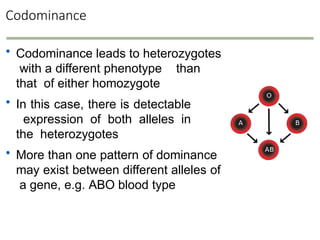 Codominance Pattern Unit II - Genetics transformation regulation | PPTX