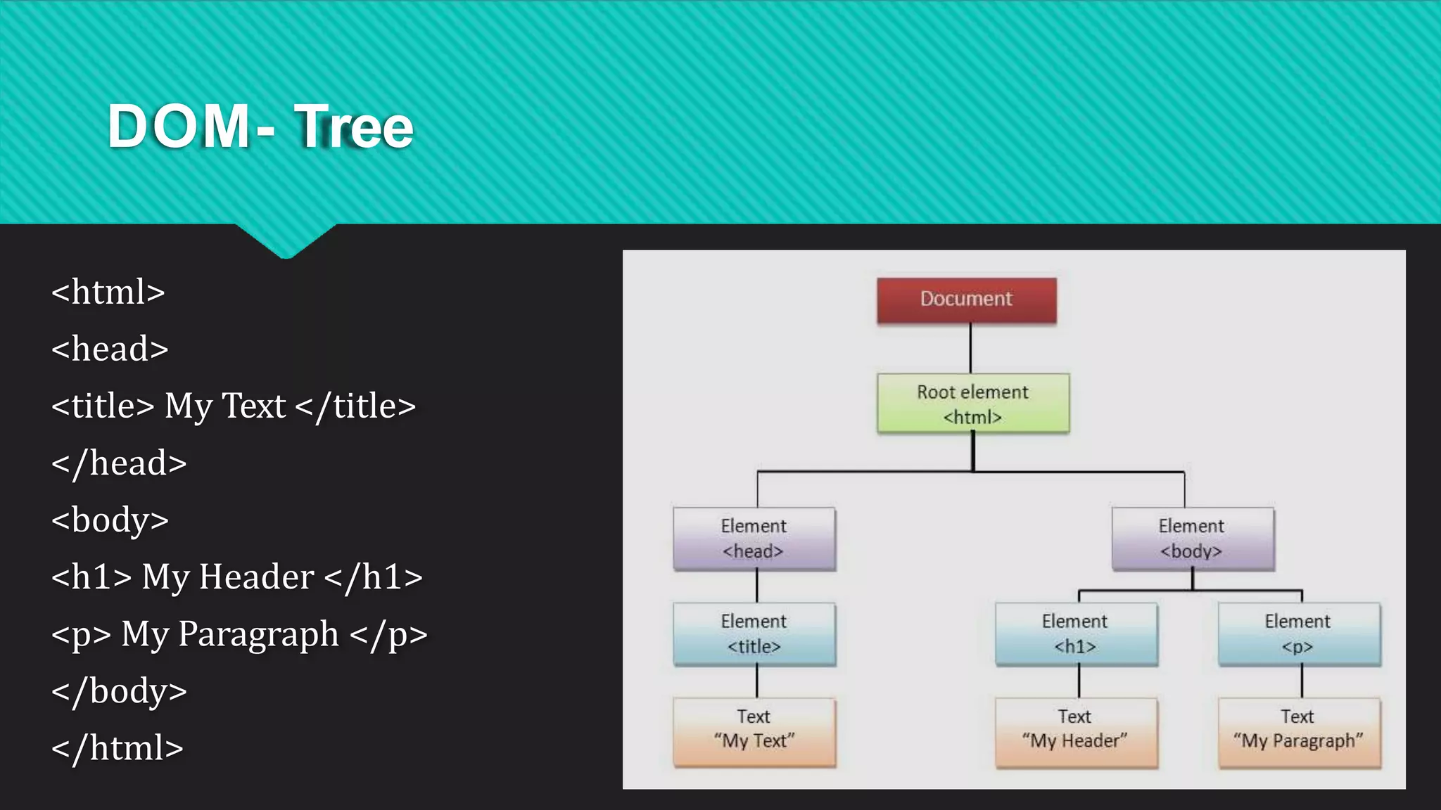 DOM- Tree
<html>
<head>
<title> My Text </title>
</head>
<body>
<h1> My Header </h1>
<p> My Paragraph </p>
</body>
</html>
 