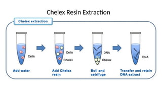 Comprehensive Overview of Nucleotides, Nucleic Acids, and Protein ...
