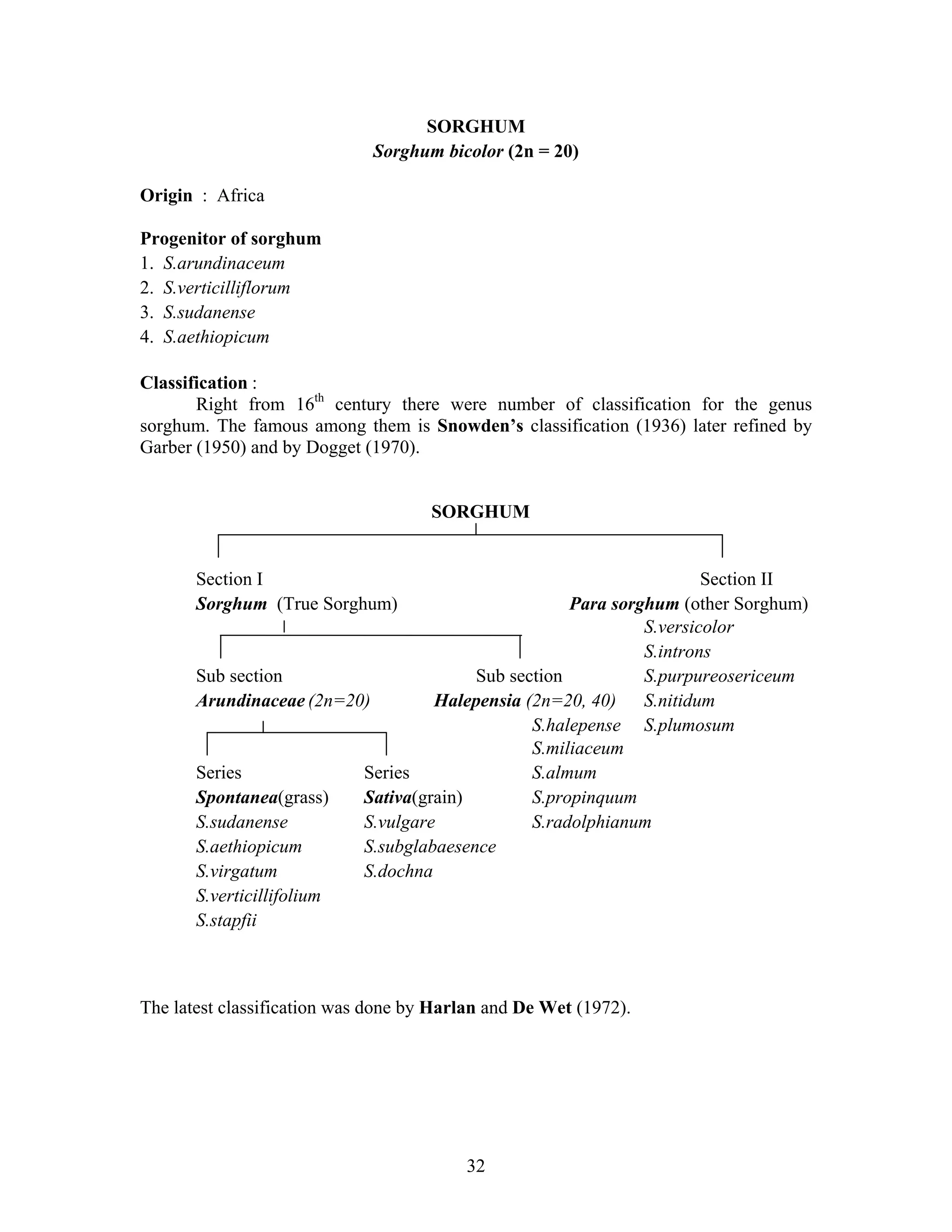 origin of sorghum | PDF