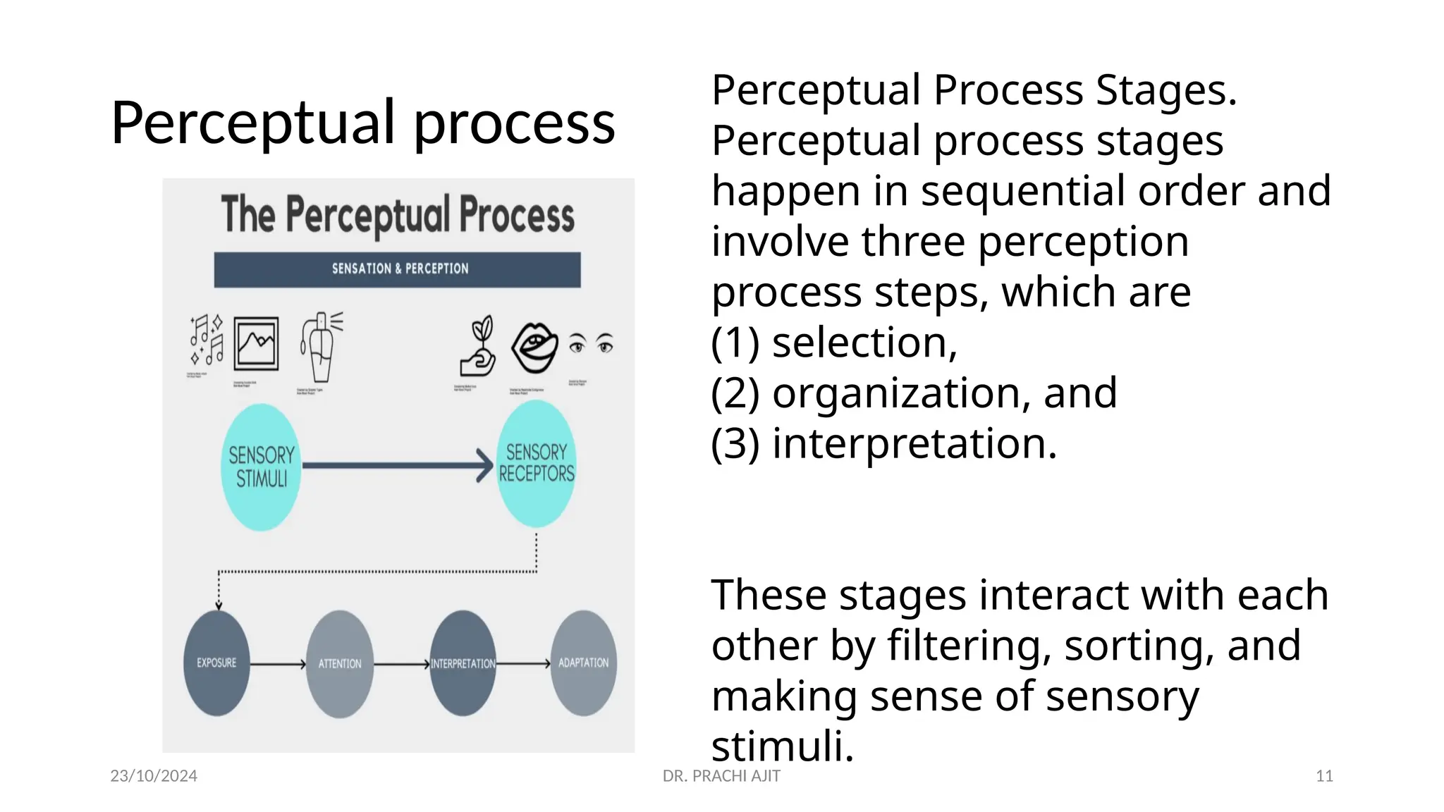 23/10/2024 DR. PRACHI AJIT 11
Perceptual process
Perceptual Process Stages.
Perceptual process stages
happen in sequential order and
involve three perception
process steps, which are
(1) selection,
(2) organization, and
(3) interpretation.
These stages interact with each
other by filtering, sorting, and
making sense of sensory
stimuli.
 