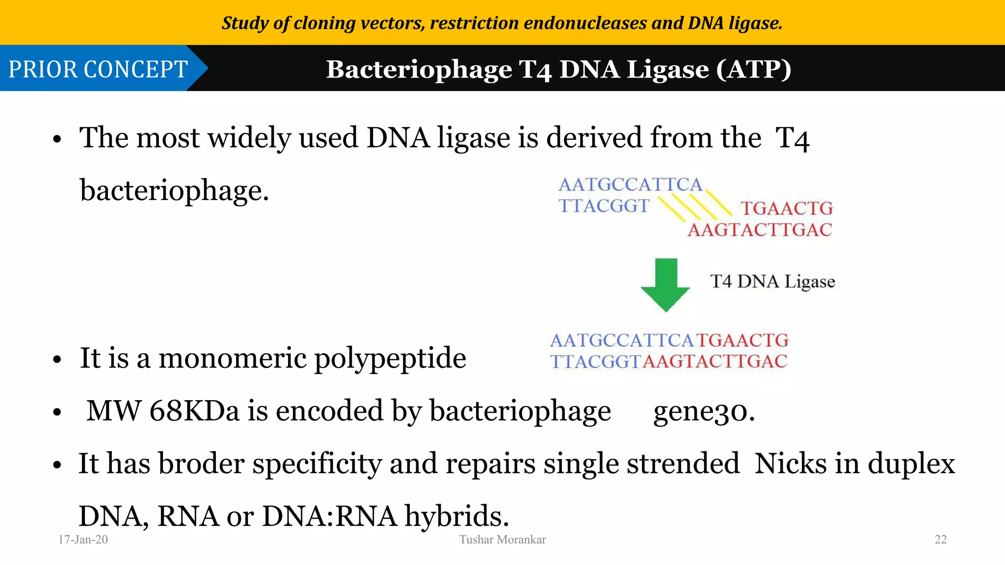 Study of cloning vectors, restriction endonucleases and DNA ligase. | PDF