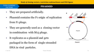 Use or disclosure of data contained on this sheet is subject to the restriction on the title page of this proposal or quotation.
▪ They are prepared artificially.
▪ Phasmid contains the F1 origin of replication
from F1 phage.
▪ They are generally used as a cloning vector
in combination with M13 phage.
▪ It replicates as a plasmid and gets
packaged in the form of single-stranded
DNA in viral particles.
Study of cloning vectors, restriction endonucleases and DNA ligase.
TYPES CLONING
VECTORS PHASMID
17-Jan-20 Tushar Morankar 10
 