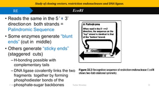 Use or disclosure of data contained on this sheet is subject to the restriction on the title page of this proposal or quotation.
• Reads the same in the 5 ’ 3’
directionon both strands =
Palindromic Sequence
• Some enzymes generate “blunt
ends” (cut in middle)
• Others generate “sticky ends”
(staggered cuts)
– H-bonding possible with
complementary tails
– DNA ligase covalently links the two
fragments together by forming
phosphodiester bonds of the
phosphate-sugar backbones
Study of cloning vectors, restriction endonucleases and DNA ligase.
RE EcoRI
17-Jan-20 Tushar Morankar 18
 