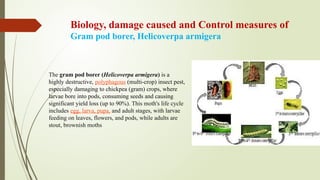 UNIT II AGRICULTURE ENTAMOLOGY.pptxliving thing (animal, insect, weed ...
