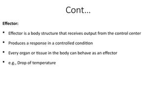 Comprehensive Overview of Homeostasis and Feedback Mechanisms in Human ...