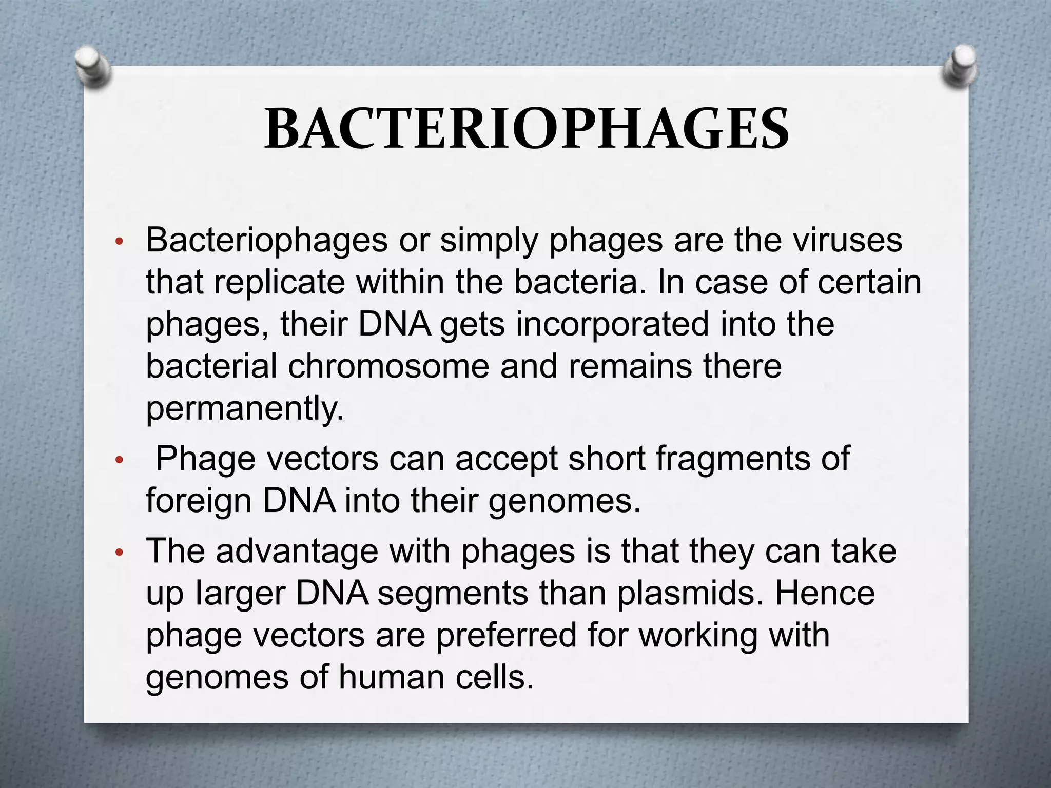 BACTERIOPHAGES
• Bacteriophages or simply phages are the viruses
that replicate within the bacteria. ln case of certain
phages, their DNA gets incorporated into the
bacterial chromosome and remains there
permanently.
• Phage vectors can accept short fragments of
foreign DNA into their genomes.
• The advantage with phages is that they can take
up Iarger DNA segments than plasmids. Hence
phage vectors are preferred for working with
genomes of human cells.
 
