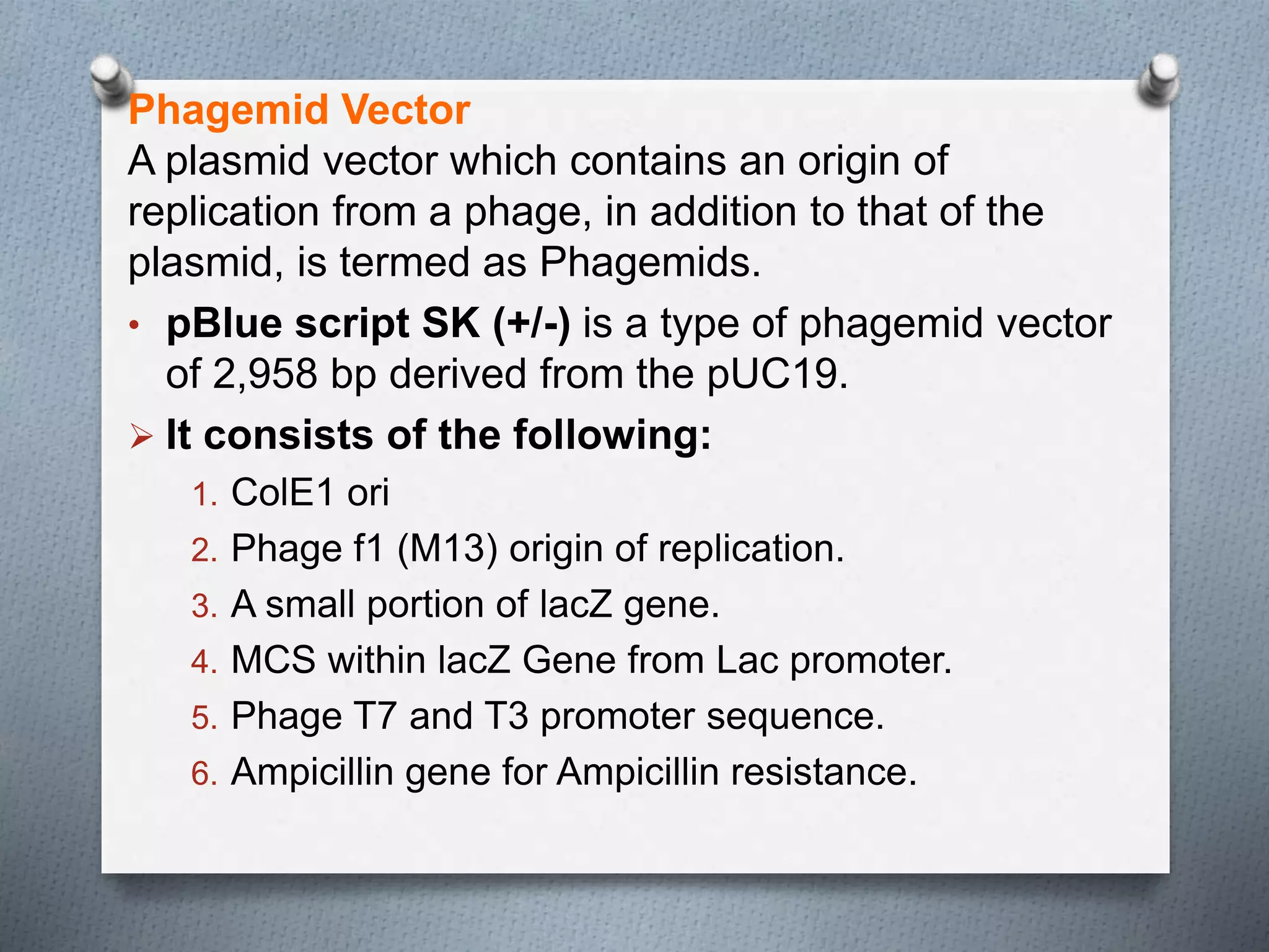 Phagemid Vector
A plasmid vector which contains an origin of
replication from a phage, in addition to that of the
plasmid, is termed as Phagemids.
• pBlue script SK (+/-) is a type of phagemid vector
of 2,958 bp derived from the pUC19.
 It consists of the following:
1. ColE1 ori
2. Phage f1 (M13) origin of replication.
3. A small portion of lacZ gene.
4. MCS within lacZ Gene from Lac promoter.
5. Phage T7 and T3 promoter sequence.
6. Ampicillin gene for Ampicillin resistance.
 