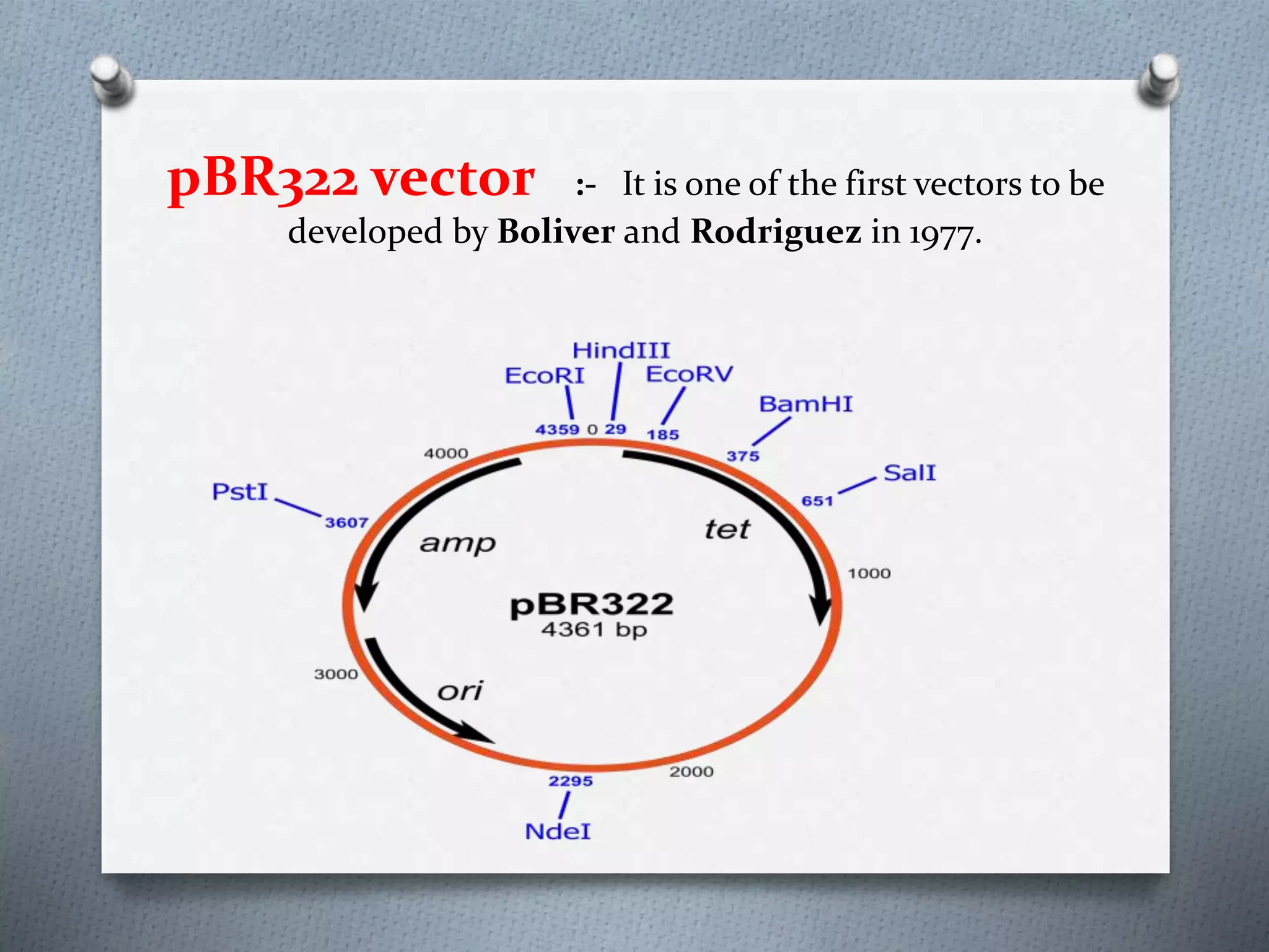 pBR322 vector :- It is one of the first vectors to be
developed by Boliver and Rodriguez in 1977.
 